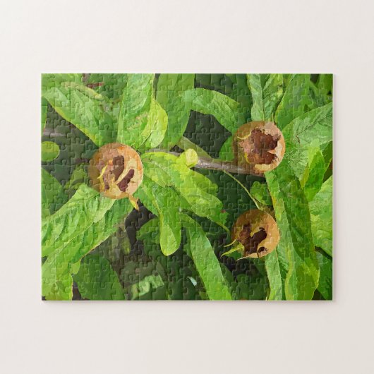 PUZZLE FRUIT MODLAIRE (Horizontal)