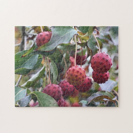 Puzzle Fruits de Dogwood Rouge Nature (Horizontal)