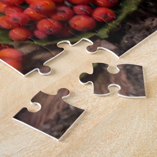 Puzzle Fruits Graphic Background (Côté)