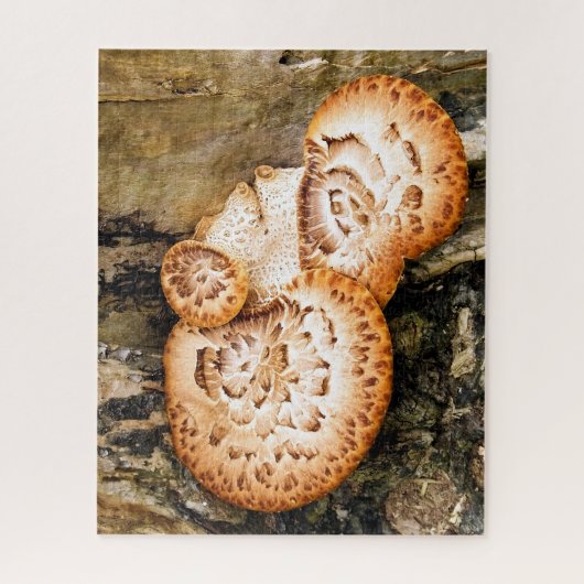 PUZZLE FUNGI (Vertical)