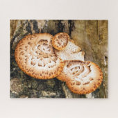 PUZZLE FUNGI (Horizontal)