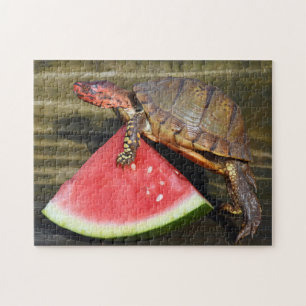 Puzzle Funny Box Turtle Exercice physique Fitness