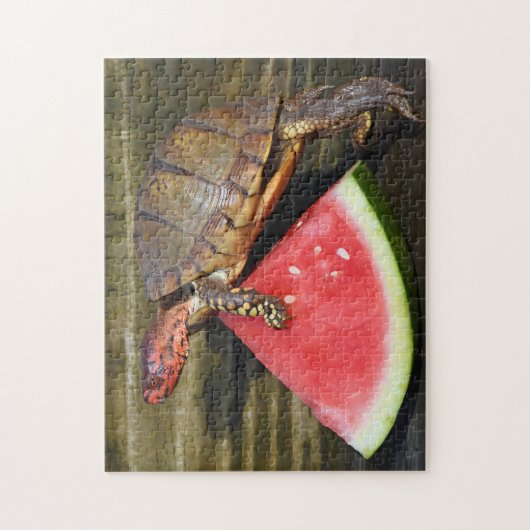 Puzzle Funny Box Turtle Exercice physique Fitness (Vertical)