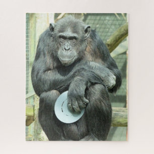 PUZZLE FUNNY CHIMPANZEE