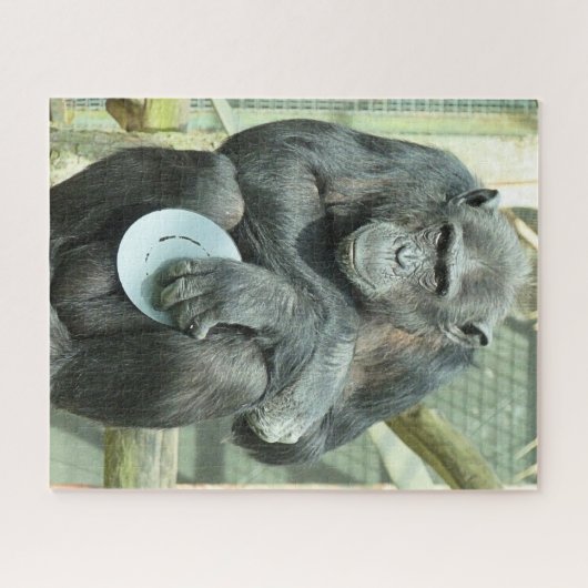PUZZLE FUNNY CHIMPANZEE (Horizontal)