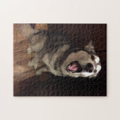 Puzzle Funny Yawning Alaskan Malamute photo (Horizontal)