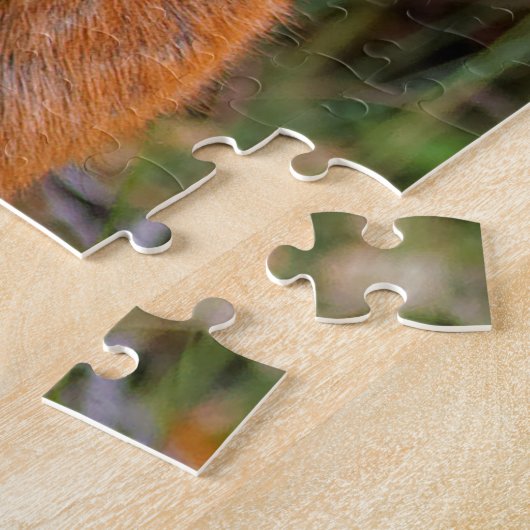 Puzzle Funny Young Blacktail Deer sourit à un photographe (Côté)