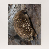 Puzzle Furry Spiky Echidna Animal Wildlife, 520 pièces (Vertical)
