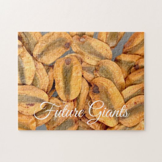 Puzzle Futurs géants, Graines séquoias géantes (Horizontal)