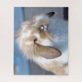 Puzzle Fuzzy Holland Mini Dwarf Lop Bunny Rabbit (Vertical)