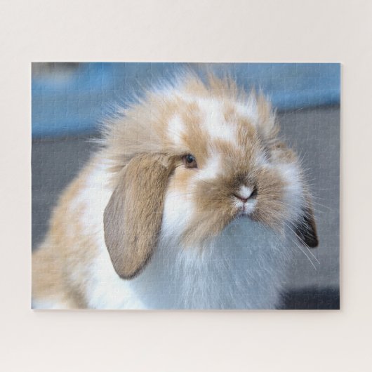 Puzzle Fuzzy Holland Mini Dwarf Lop Bunny Rabbit (Horizontal)