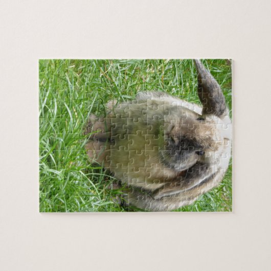 Puzzle Gaffez le lapin (Horizontal)