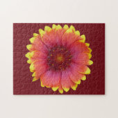 Puzzle Gaillardia 1 (Horizontal)