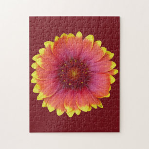 Puzzle Gaillardia 1