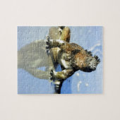 Puzzle Galapagos de l'iguane marin (Horizontal)