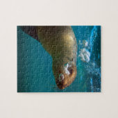 Puzzle Galapagos sous-marin curieux paradis des lions de (Horizontal)