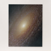 Puzzle Galaxie Spirale Ngc 2841 (Vertical)