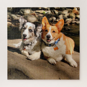 Puzzle gallois de Corgis
