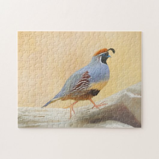 Puzzle Gambrel's Quail Painting Original Bird Art (Horizontal)