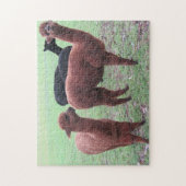 Puzzle gang alapca (Vertical)