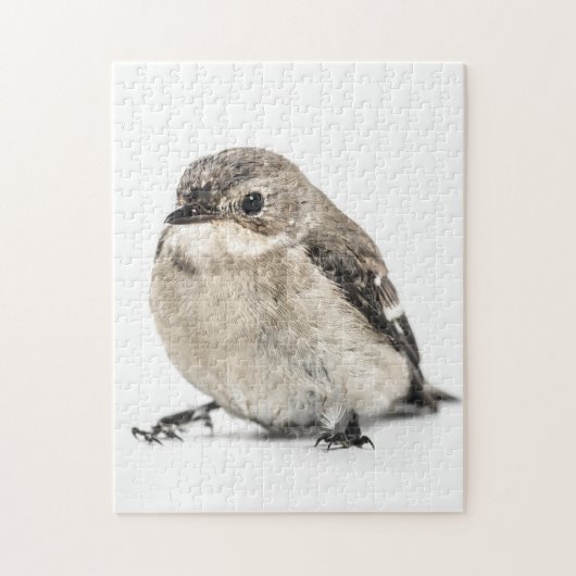 Puzzle Garden Bird (Vertical)