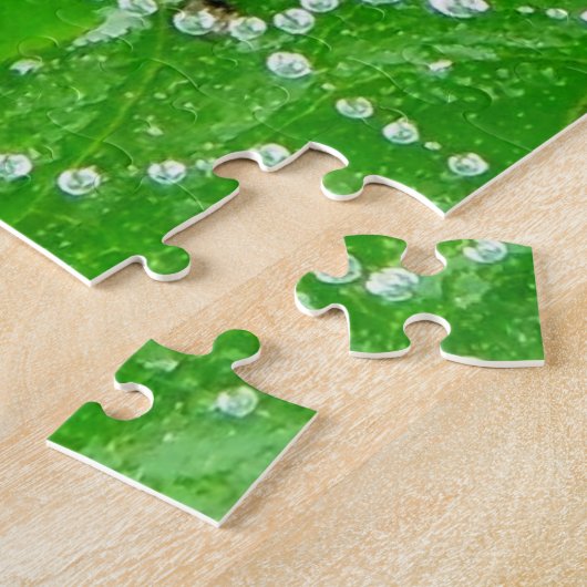 Puzzle Garden Leaf Spider Web avec Dew Drop Photo Design (Côté)
