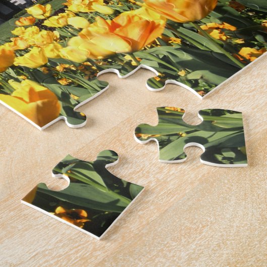 Puzzle Gare de Dunedin (Côté)