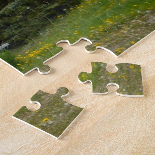 Puzzle Gazebo, Silverton, Colorado (Côté)