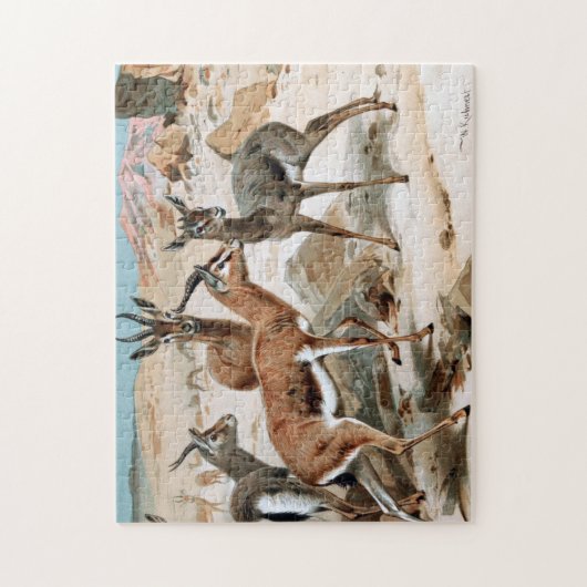 Puzzle Gazelle (Vertical)