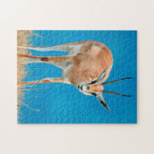 Puzzle Gazelle de Grant (Gazella Granti) Ewe Portrait (Horizontal)