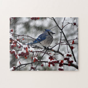 Puzzle Geai bleu d'hiver