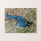 Puzzle Geai de Steller dans un arbre (Horizontal)