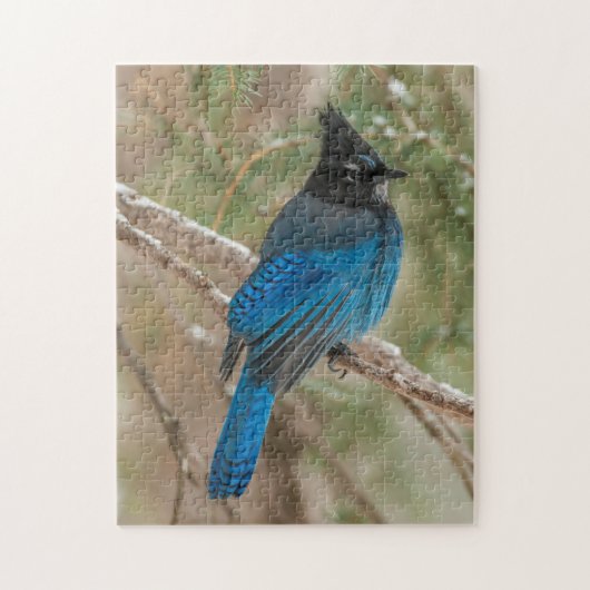 Puzzle Geai de Steller dans un arbre (Vertical)