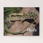 Puzzle Gecko jaune gras (Horizontal)