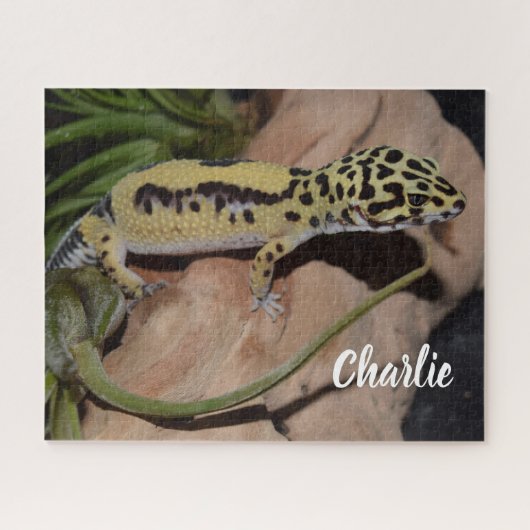 Puzzle Gecko jaune gras (Horizontal)