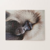 Puzzle Gelada Baboon, Éthiopie (Horizontal)