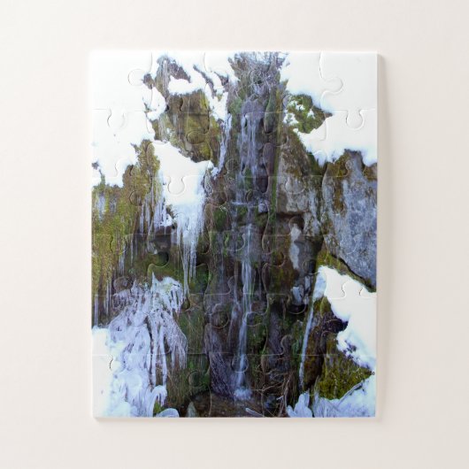 Puzzle Gelée dans le temps.... (Vertical)