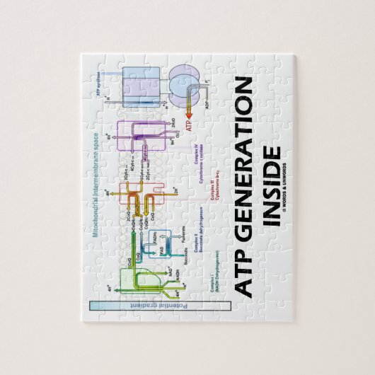 Puzzle Génération de triphosphate d'adénosine à (Vertical)