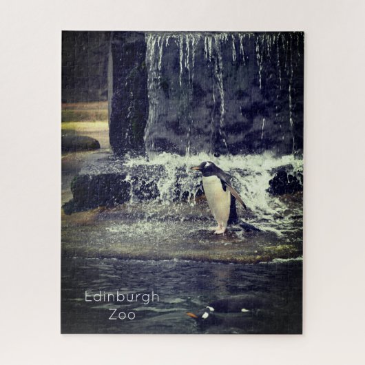 Puzzle Gentoo Penguin & Friends Edinburgh Zoo Scotland Po (Vertical)