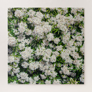 Puzzle Géométrie dorée : Ventilateur Motif