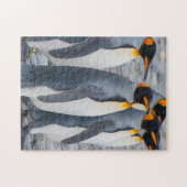 Puzzle Géorgie du Sud. Pingouins (Horizontal)
