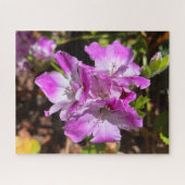 Puzzle Géranium de Martha Washington rose lavande, Oaklan (Horizontal)
