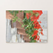 Puzzle Geraniums Pots Plantes Kew Gardens Londres UK (Horizontal)