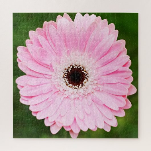 Puzzle Gerbera rose clair marguerite florale (Vertical)