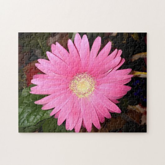 Puzzle Gerbera Rose Daisy (Horizontal)