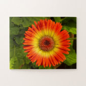 Puzzle Gerbera Sunburst | Hommage à Alzheimer (Horizontal)