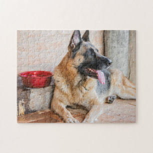 Puzzle German Sheperd Resting By Water Basin