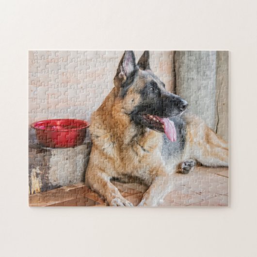 Puzzle German Sheperd Resting By Water Basin (Horizontal)