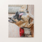 Puzzle German Sheperd Resting By Water Basin (Vertical)