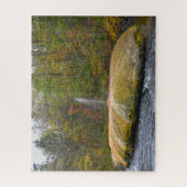 Puzzle Geyser Island Spouter, Saratoga Springs, New York (Vertical)